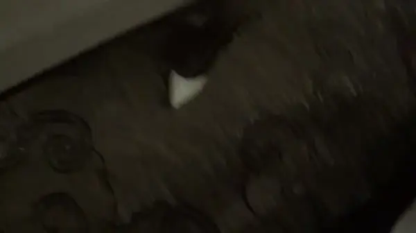 宾馆开房约美女打几圈麻将然后穿上制服黑网袜玩3P这场面看着是真刺激