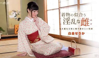 着物の似合う淫乱な雌 白金せりか