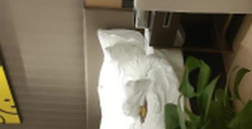 花总奉上-有韵味高冷美少妇 舔逼舔的少妇受不了好想要