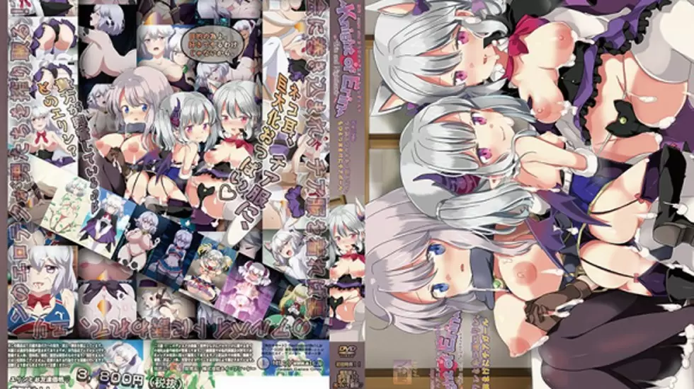 ウシ乳エリンとネコ耳エリン、もひとつおまけにチアガール