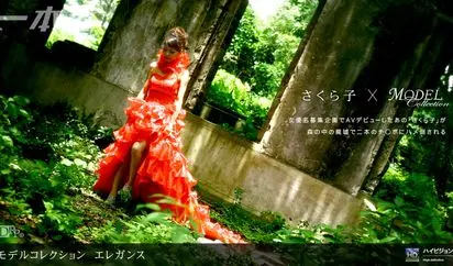 Model Collection select .78　エレガンス