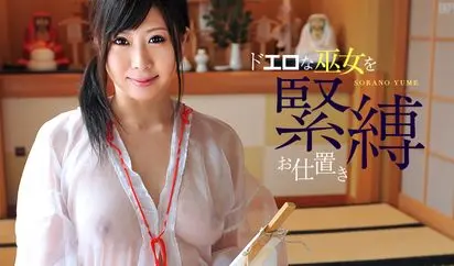 透けフェチ巨乳 Vol7