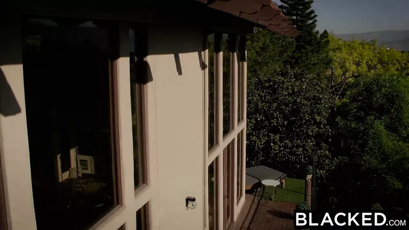 塗黑-金發艾迪生比利時在巨大的黑色上噴射