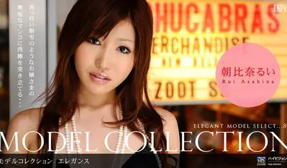 Model Collection select 85　エレガンス