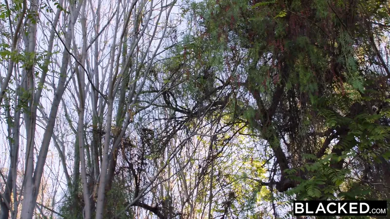 這隻白色小雞隻是在法庭上閒逛