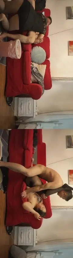 锤子探花-再约极品眼镜御姐 美腿高跟鞋很主动 埋头舔骚逼