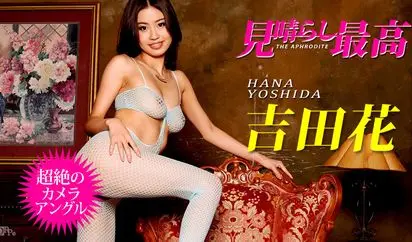 吉田花の見晴らし最高