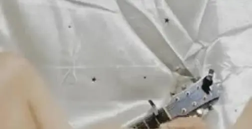 内射00后小护士 草翻了