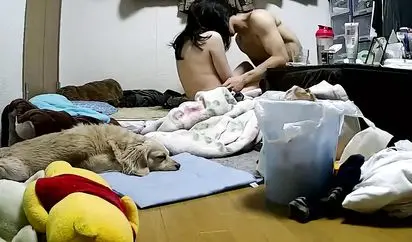 家庭网络摄像头偷拍这么极品的大奶不日用手玩金毛看不下去了回窝里躺着