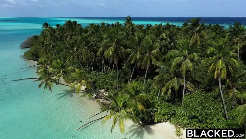 Blacked-兩個最好的朋友分享一個大黑雞巴